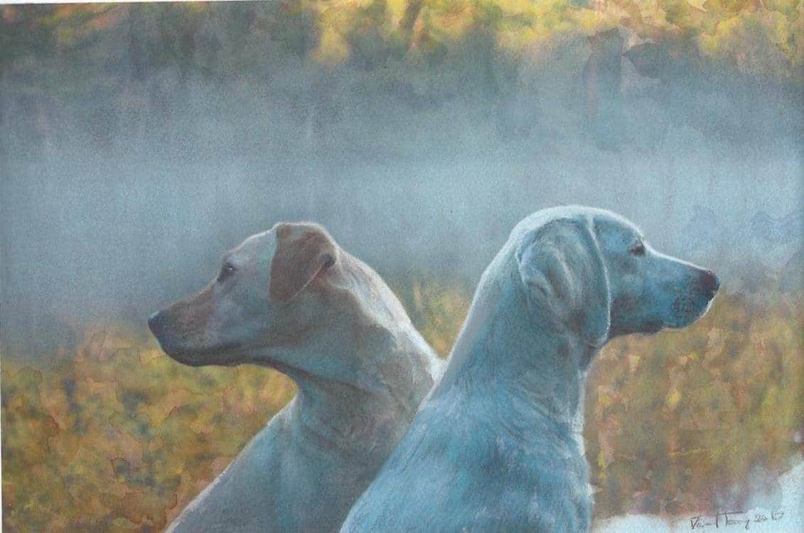 Two dogs by David Terry