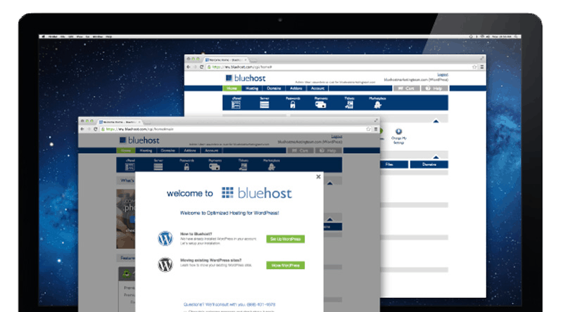 Bluehost and WordPress a perfect marriage!