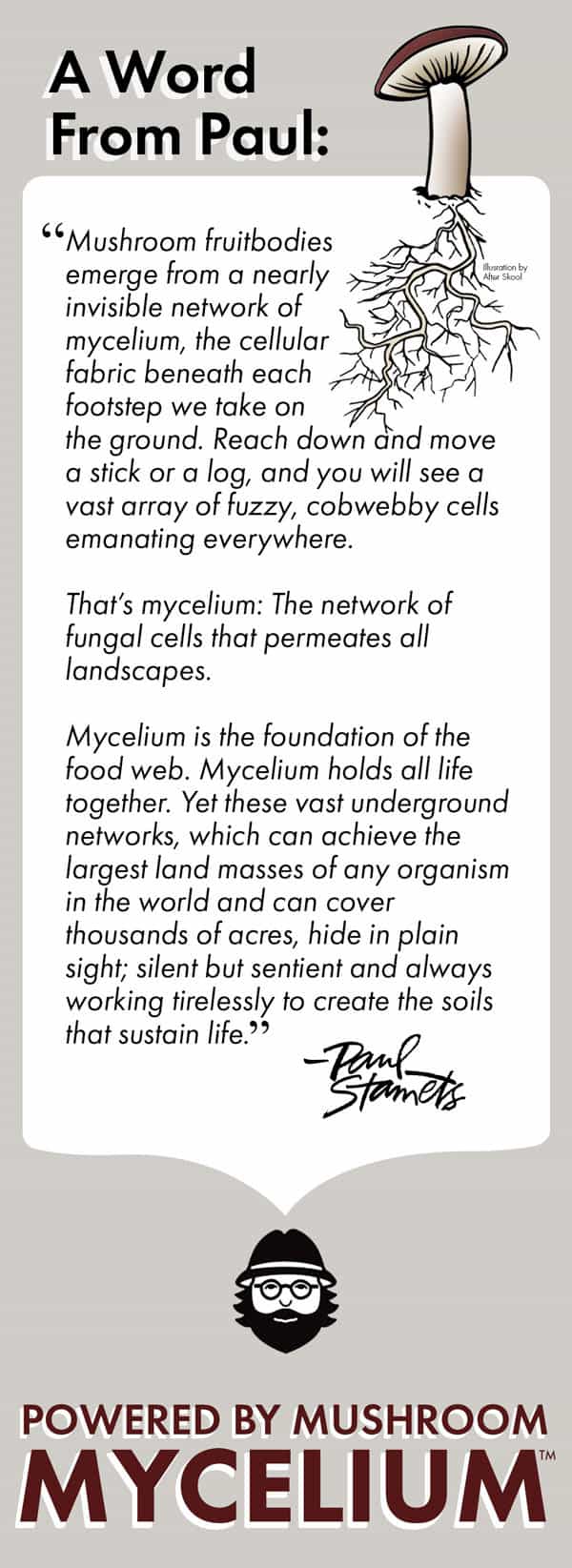 A Word About Mushroom Mycelium