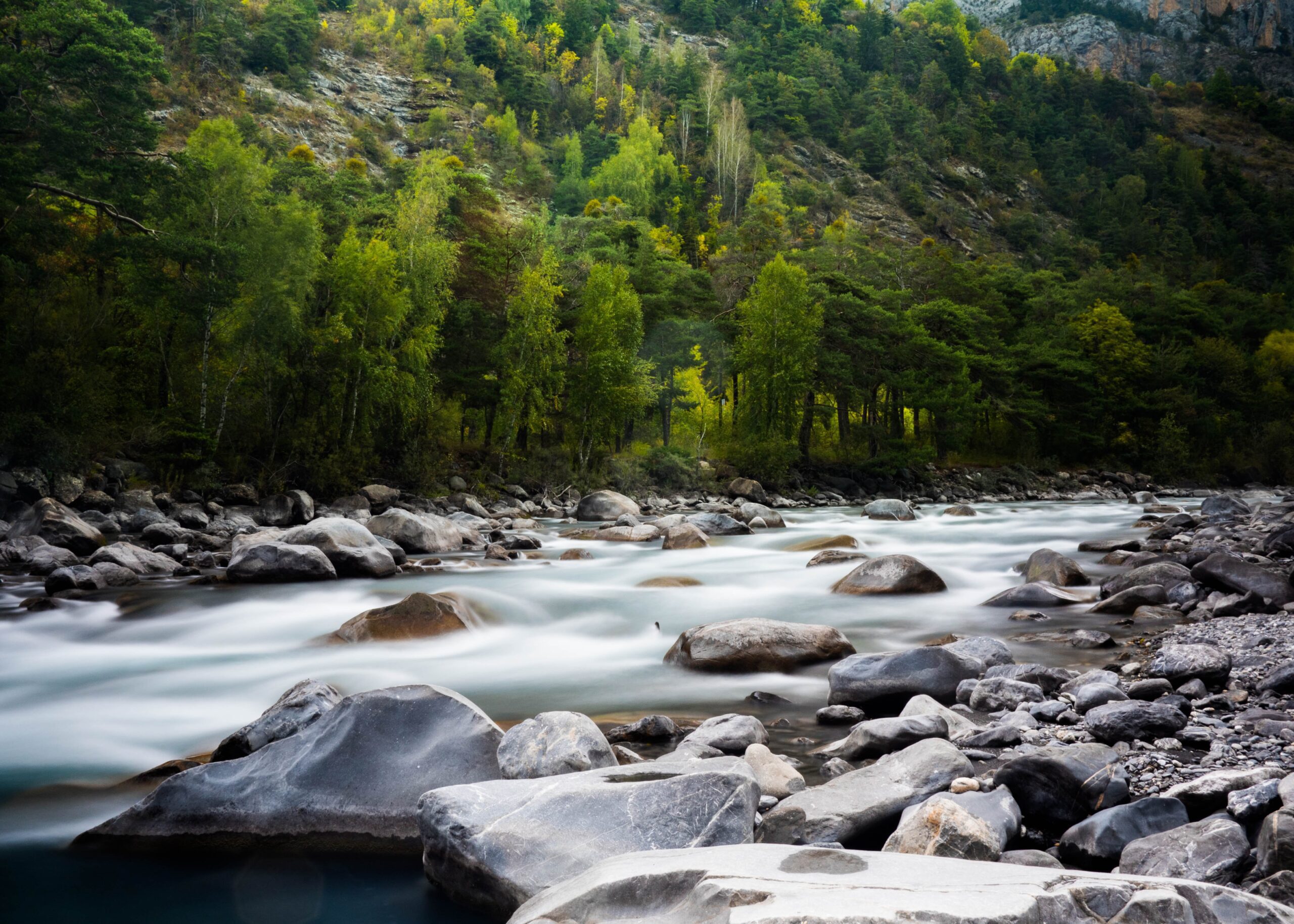 Jamie Street creek image from Unsplash