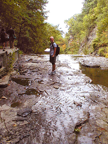 Jamie Street creek image from Unsplash