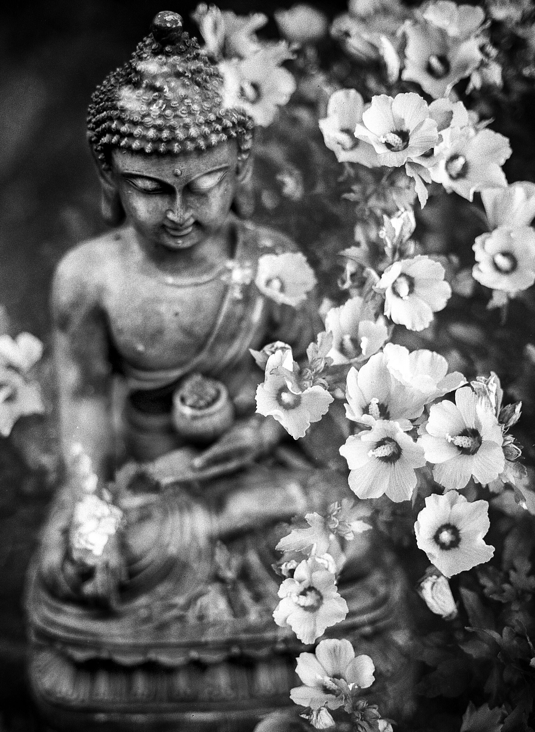 benjamin-balazs-Buddha statue graced by flowers -unsplash