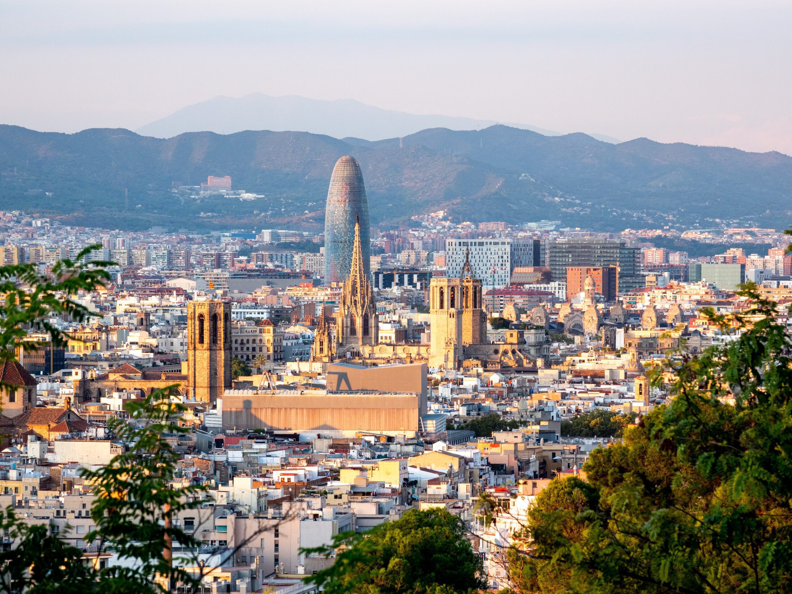 dimitry-anikin-View of Barcelona from high vista-unsplash