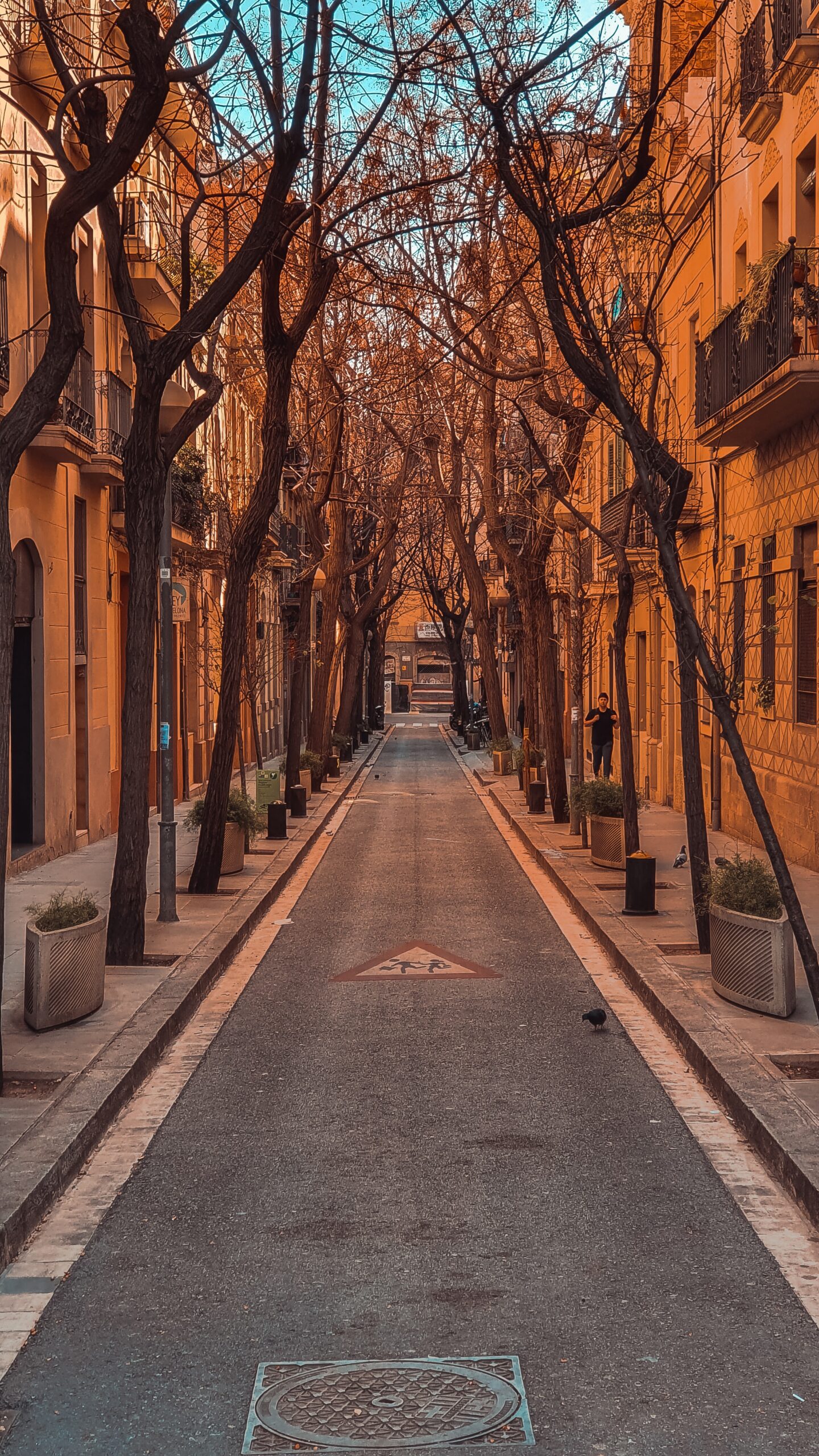 miltiadis-fragkidis-Barcelona City narrow tree lined avenue-unsplash