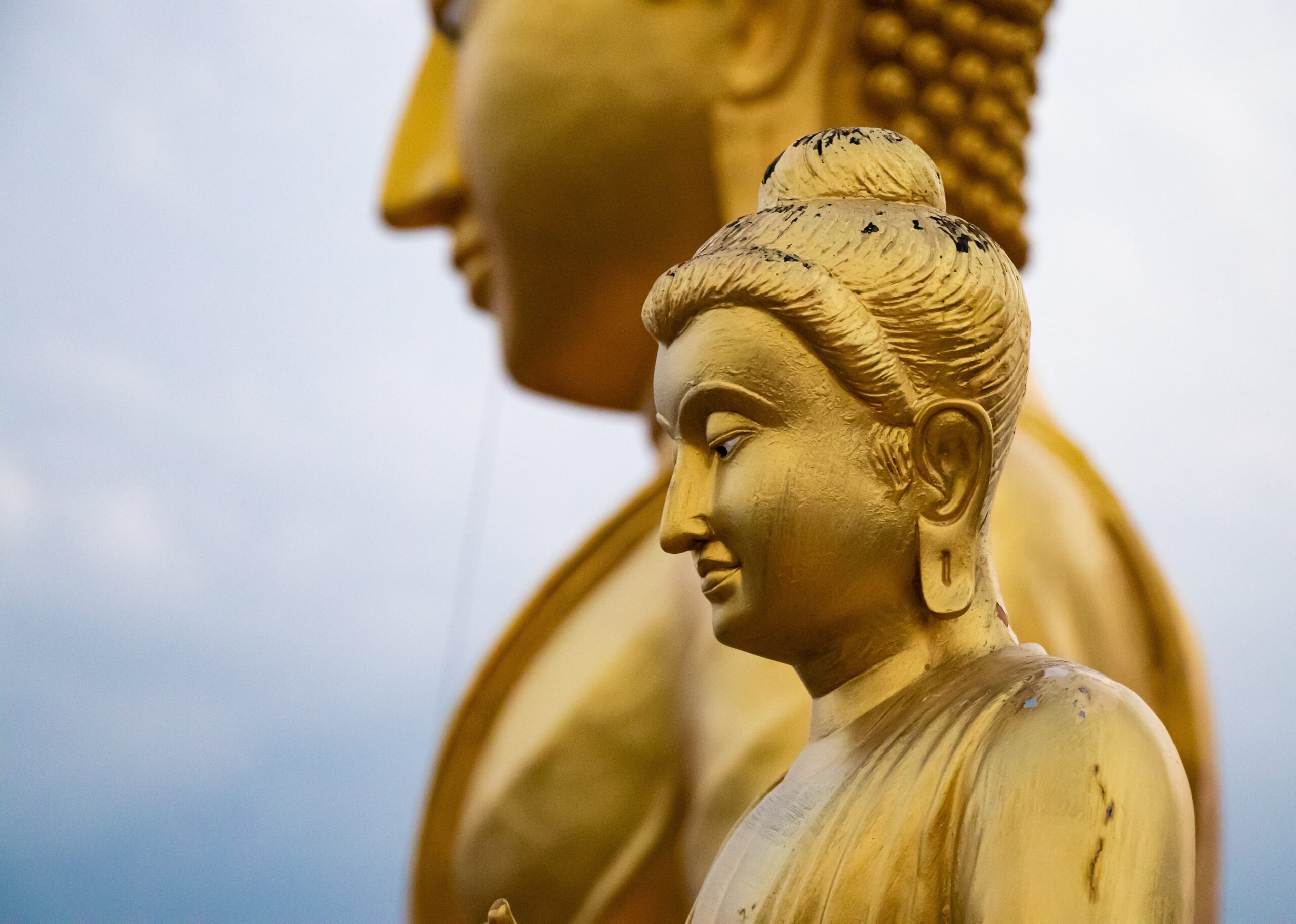 syed-ahmad-Buddha in profile-unsplash