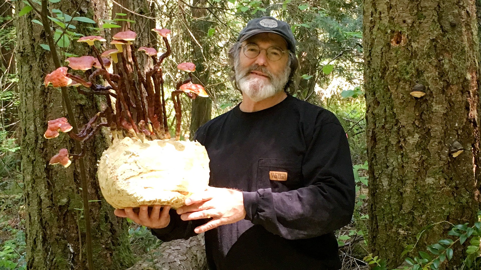 paul-Stamets holding mushrrom with mycellium root body