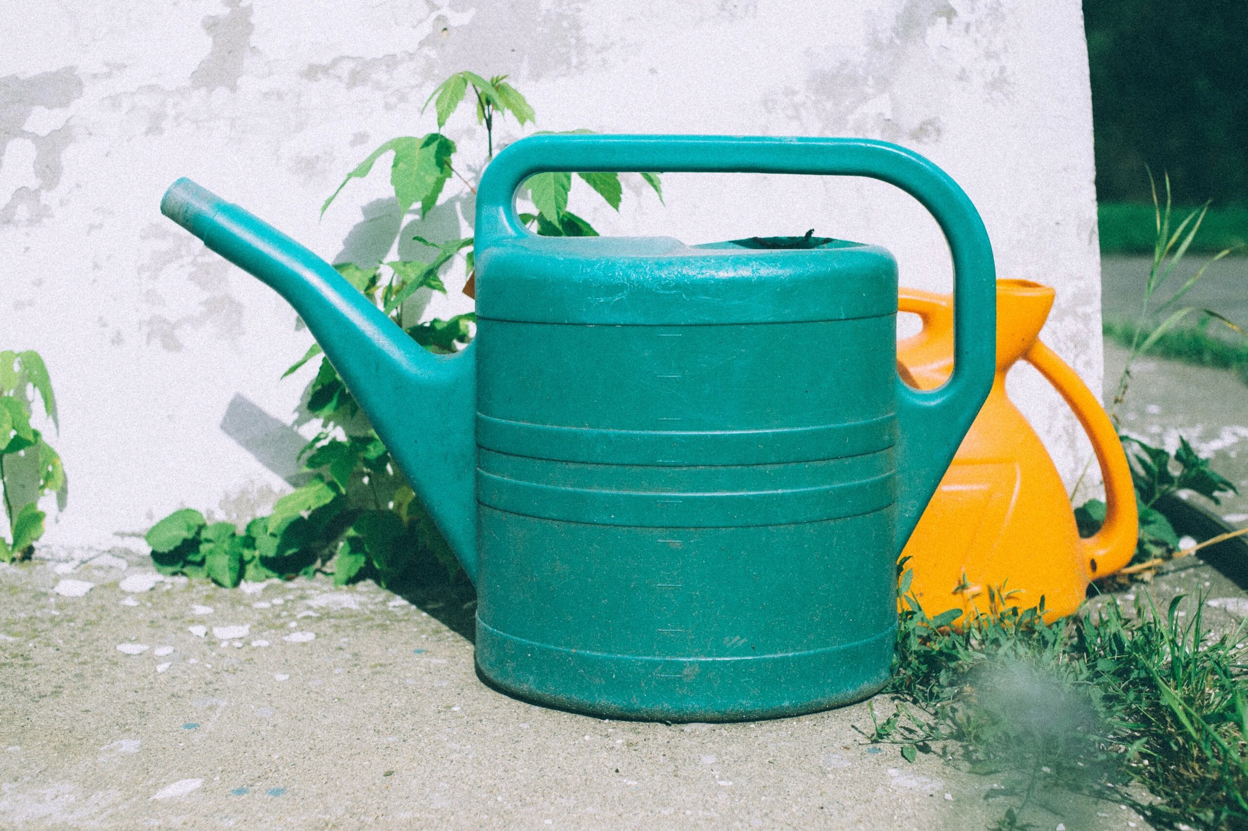 egor-myznik-Green Plastic Watering Can-unsplash