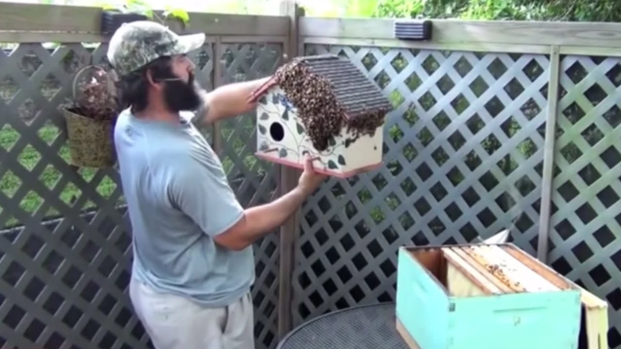 JP Beeman with Hive on bird house