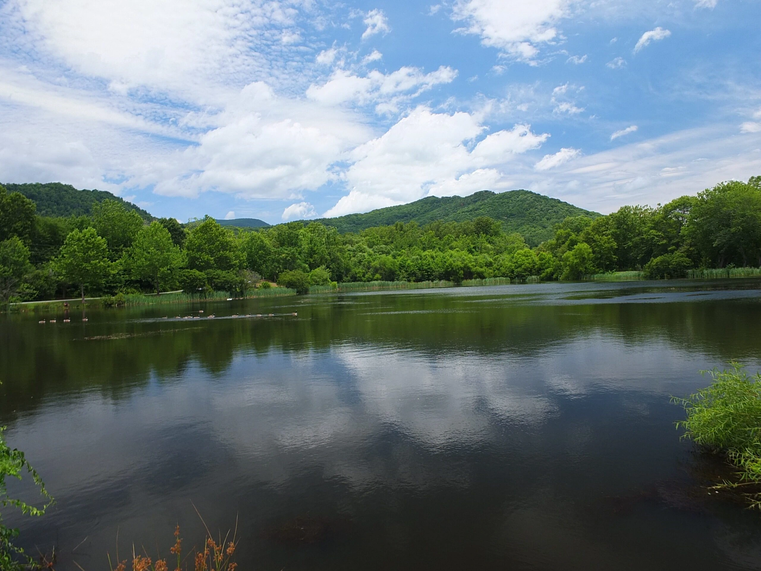 Swannanoa NC Charles D Owen Park