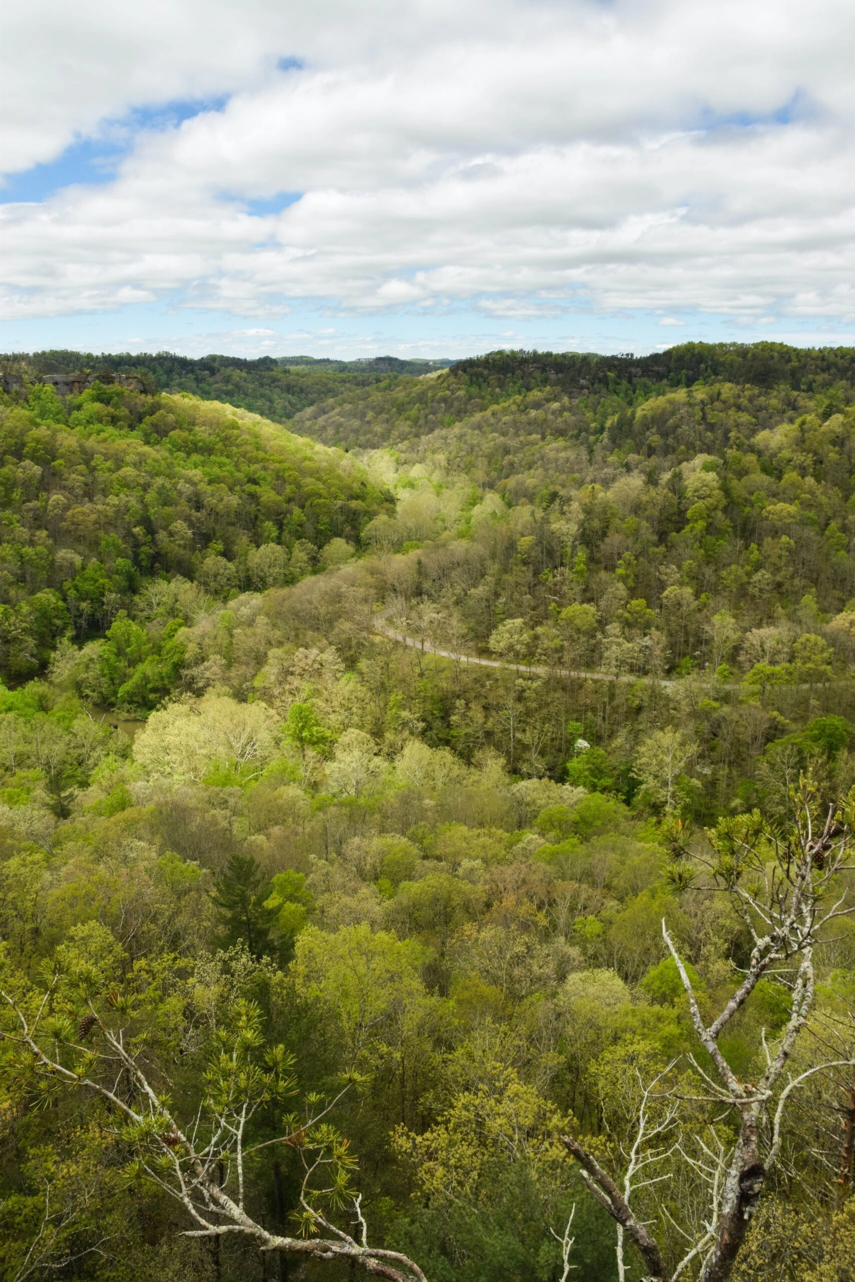 amy-baugess-Mountain valley with lush kentucky greenunsplash