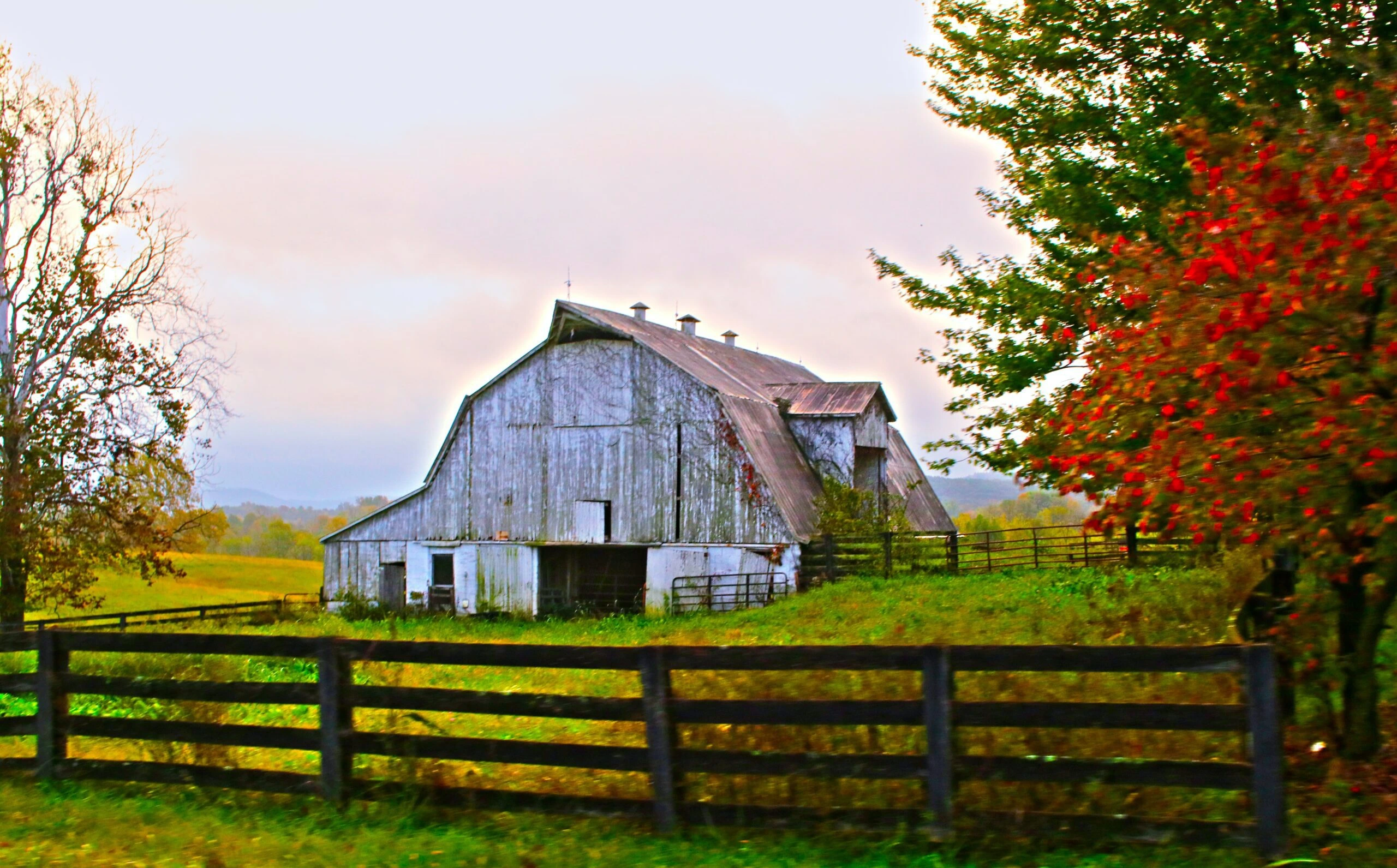 amy-reed-Fencline with farm land, barn tree lines-unsplash