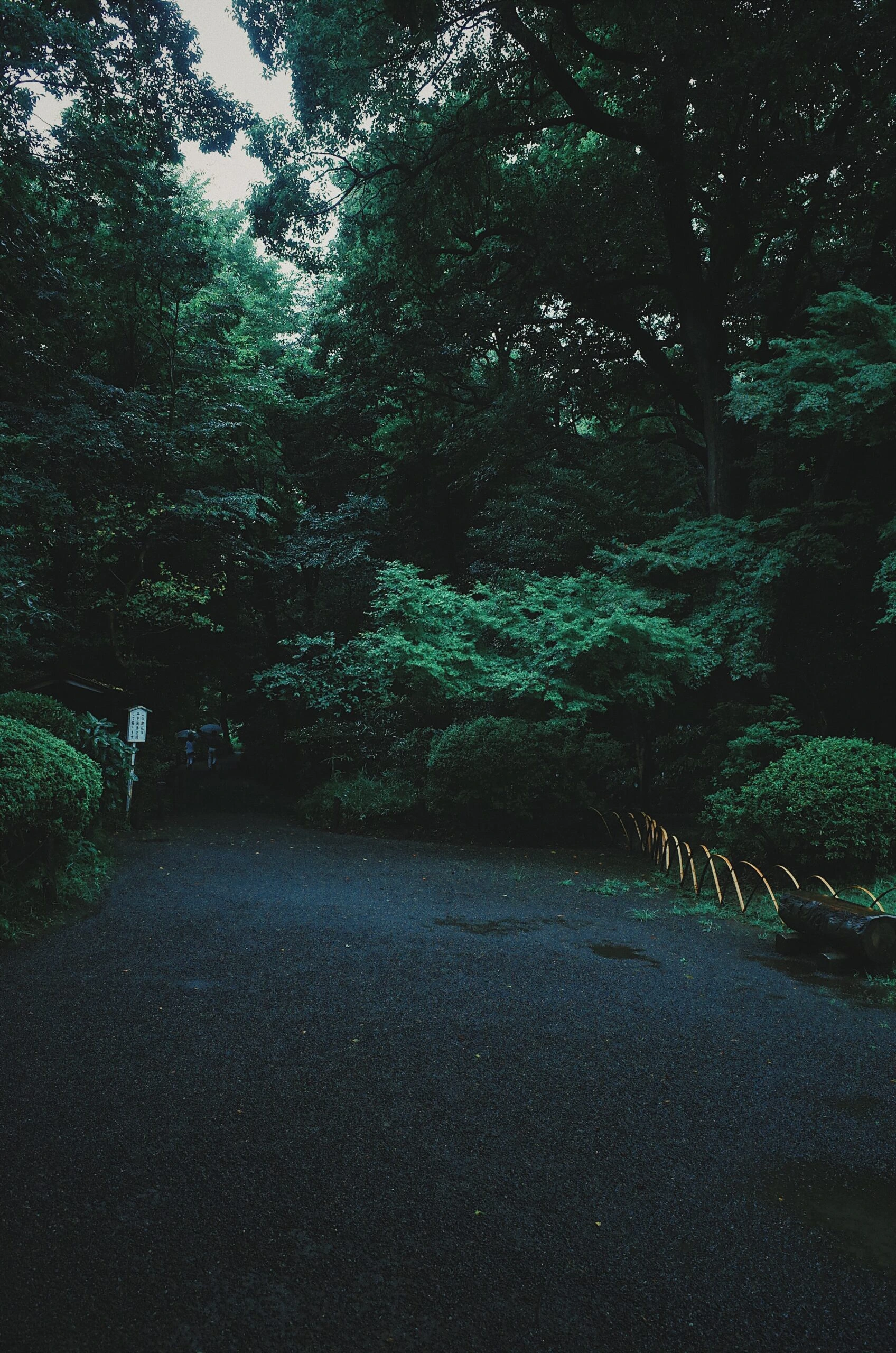 jase-bloor-Red lantern in foreground on Tokyunsplash