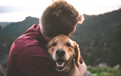 eric-ward-Golden Retriever hugged by owner-unsplash