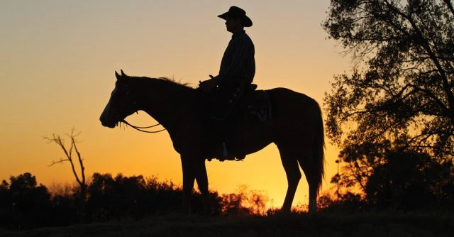 Lyle Lovett on ridge top on horse with sunset behind him making