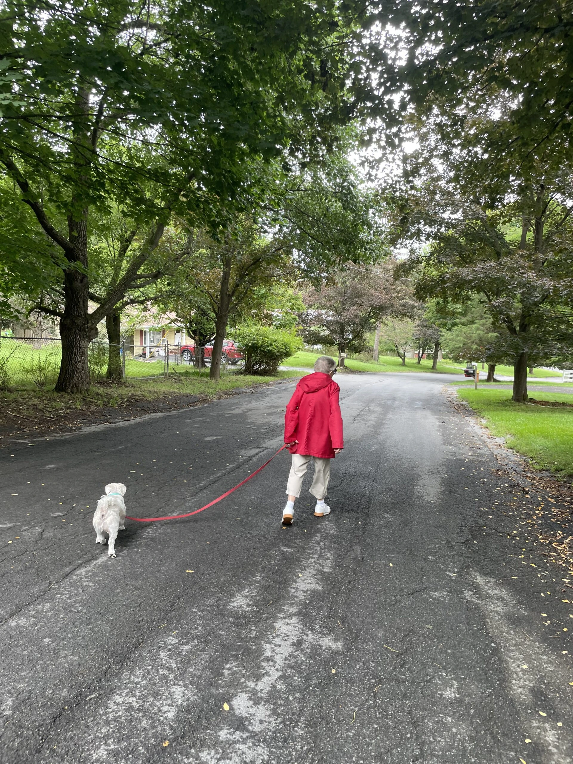 Mad Walking Molly on West Hill Ithaca NY