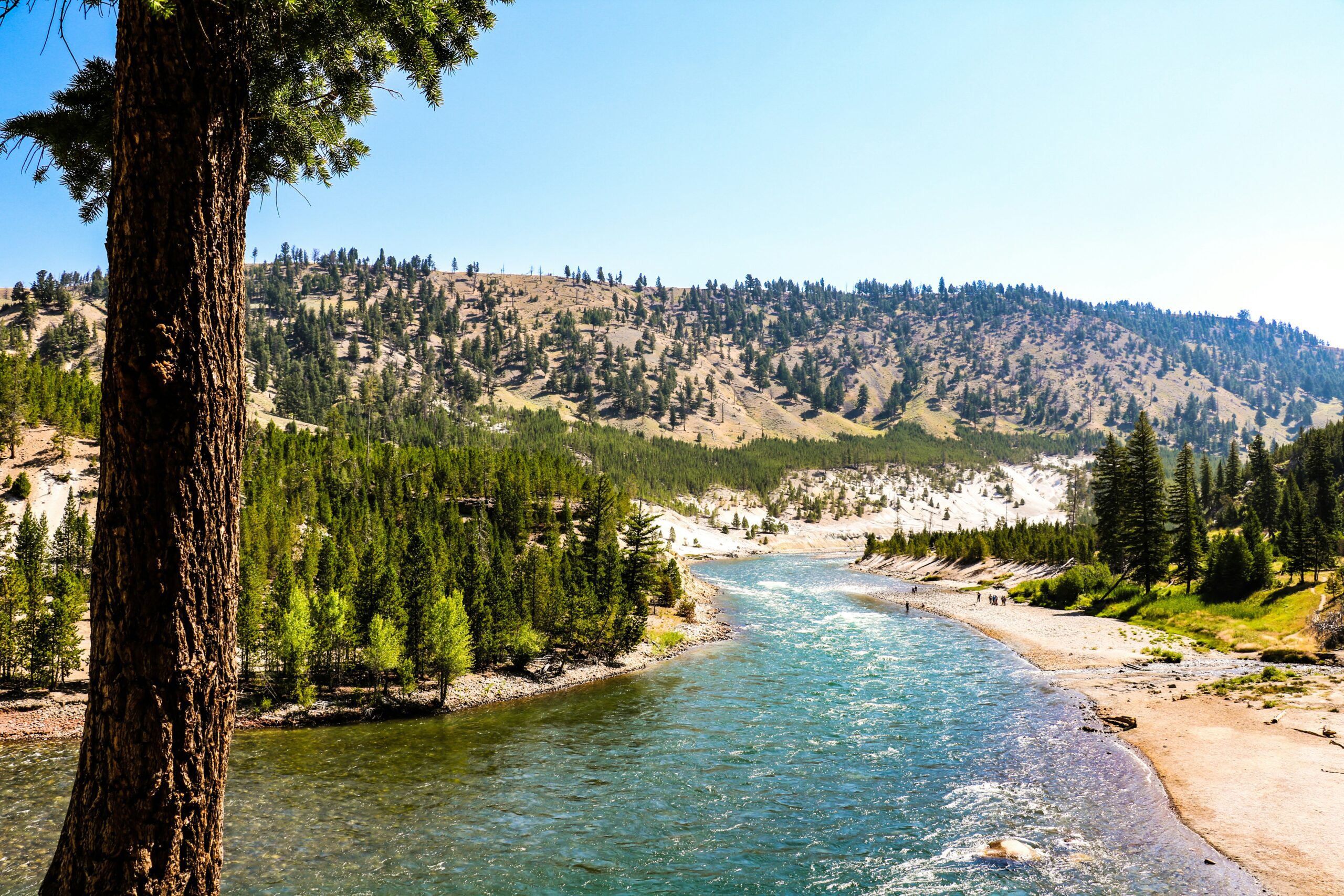 Yellowstone River roaring

Yellowstone National Park, United States
Published on January 1, 2021
Canon, EOS Rebel T6i
Free to use under the Unsplash License