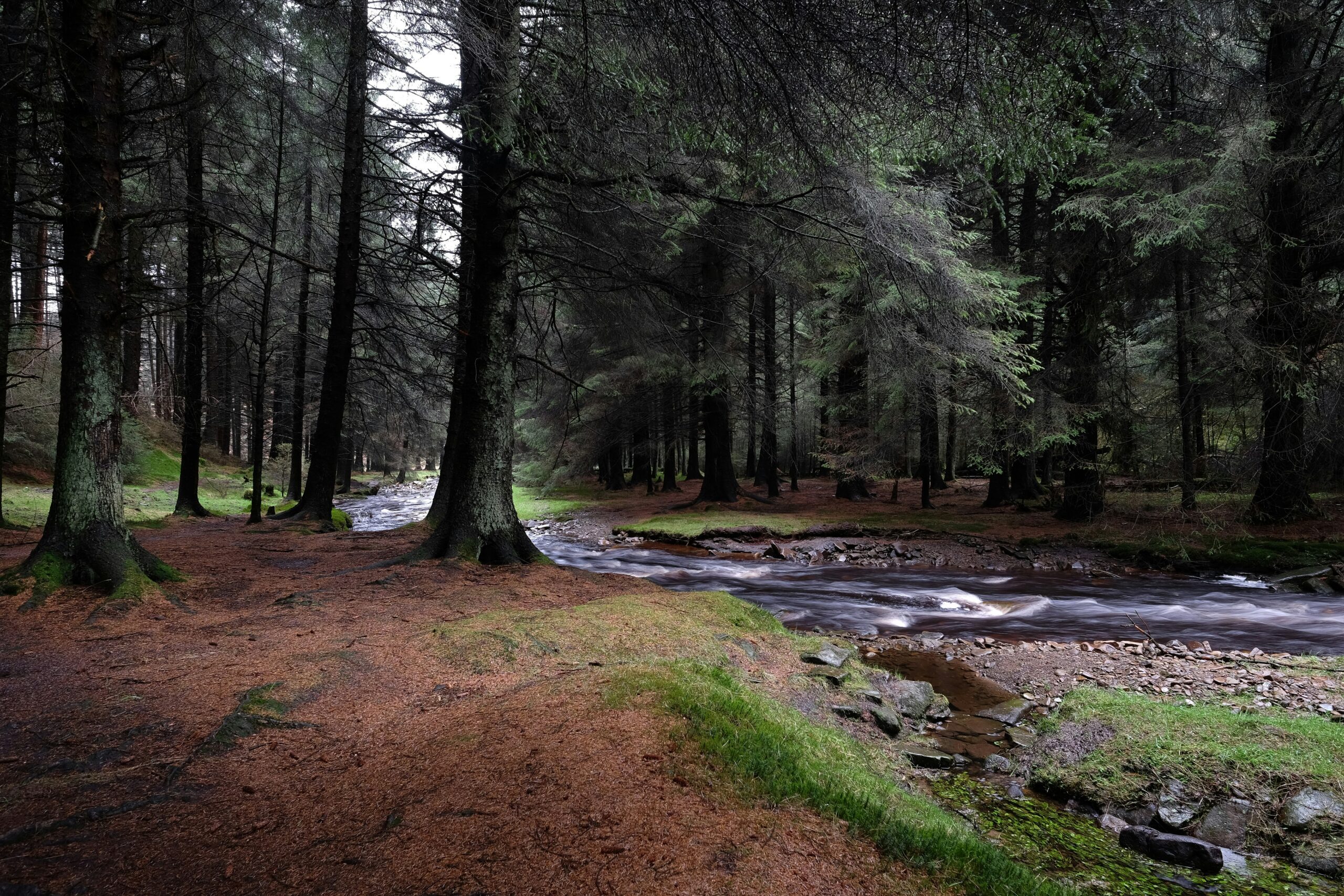 Peak District National Park, Bakewell, United Kingdom
Published on January 21, 2018
FUJIFILM, X-T10
Free to use under the Unsplash License